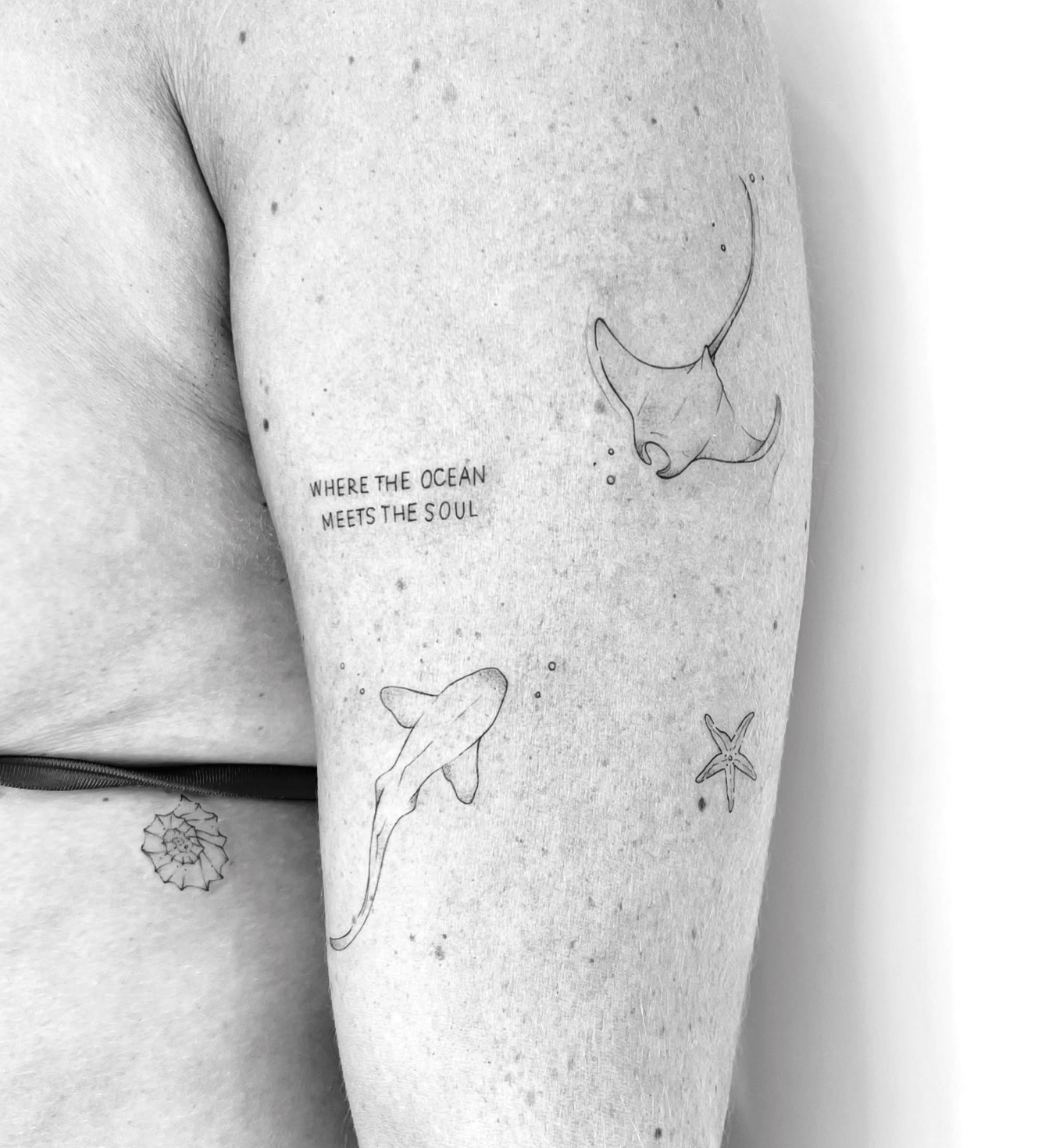 Tatuagem fine line de manta, tubarão e estrela-do-mar com a frase where the ocean meets the soul