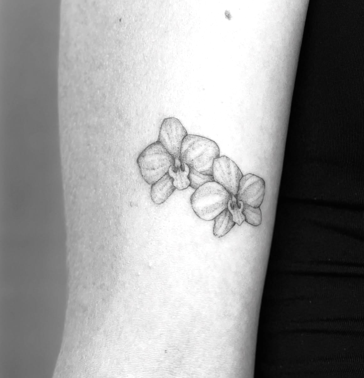 Tatuagem de duas orquídeas em pontilhismo delicado